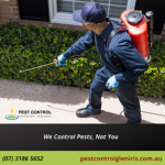 Pest Control Glen Iris