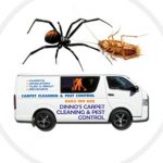 Dinno’s Carpet Cleaning & Pest Control