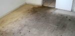 Carpet Cleaning Glenelg South