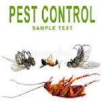 Best Pest Control Central Coast
