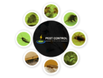 Pest Control Yeronga