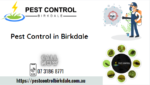 Pest Control Birkdale