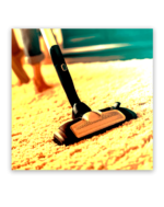Carpet Cleaning Mitchell Park