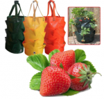 Strawberry Grow Bags