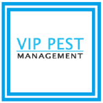 Pest Management in Melbourne by VIP