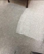 Carpet Cleaning Ngunnawal