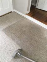 Carpet Cleaning Dulwich Hill