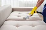 Expert and Quality Upholstery Cleaning services in Forde