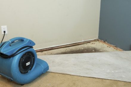 Flooded Carpet Drying Melbourne