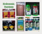 hydroponics nutrients