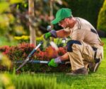 ndis gardening services - mercy life care - sydney