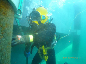 Professional Diving Services Melbourne